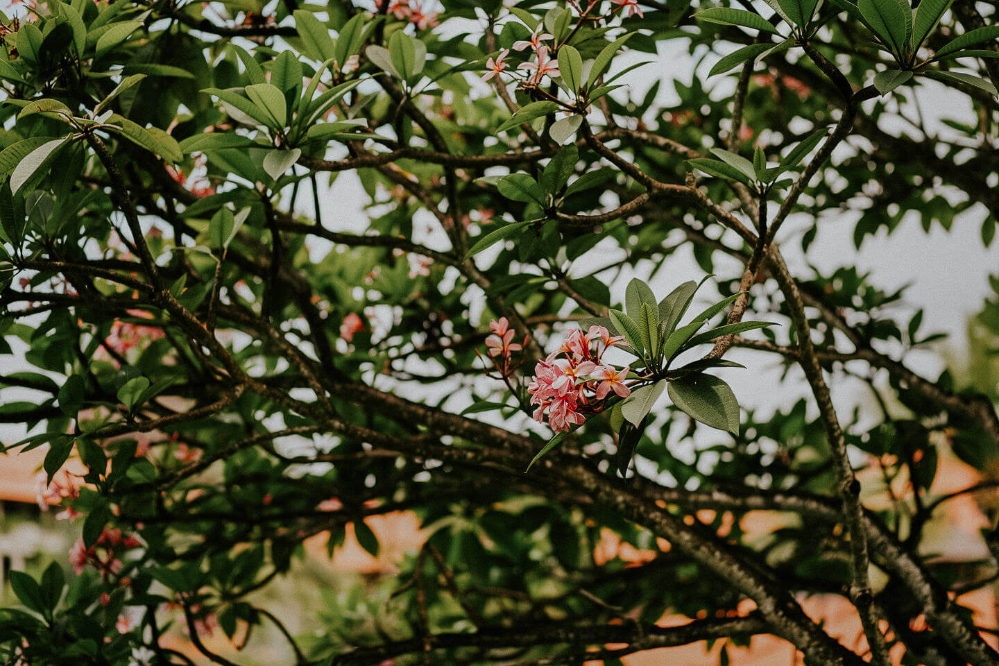 Reisefotografie-Travel-Bali-Fotograf-Paul-Mazurek-0016