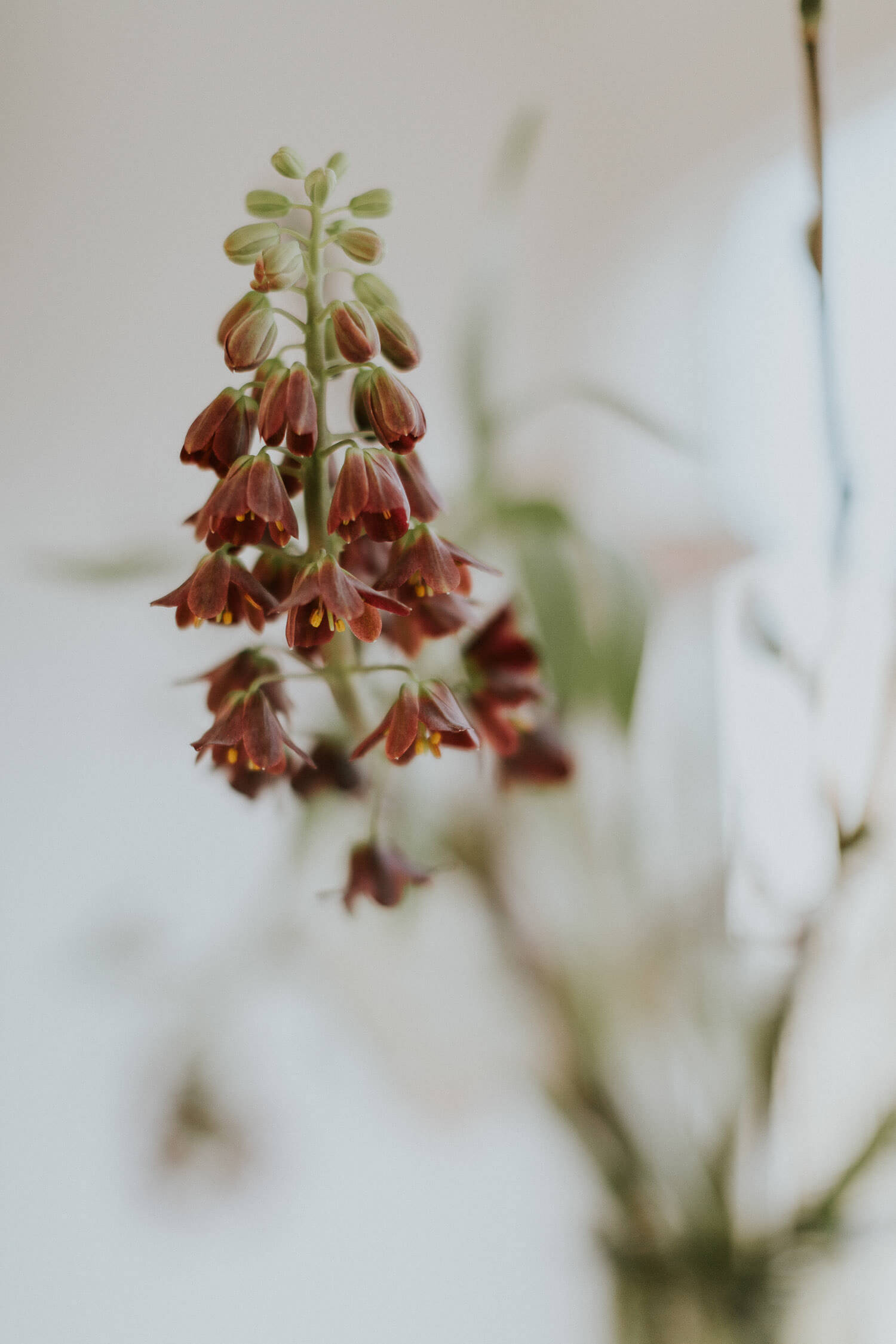 Imagefotos-Regensburg-0006