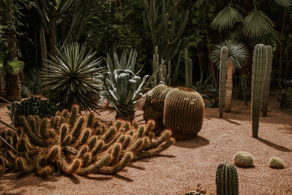 Reisefotografie-Travel-Paul-Mazurek-Fotografie-0004